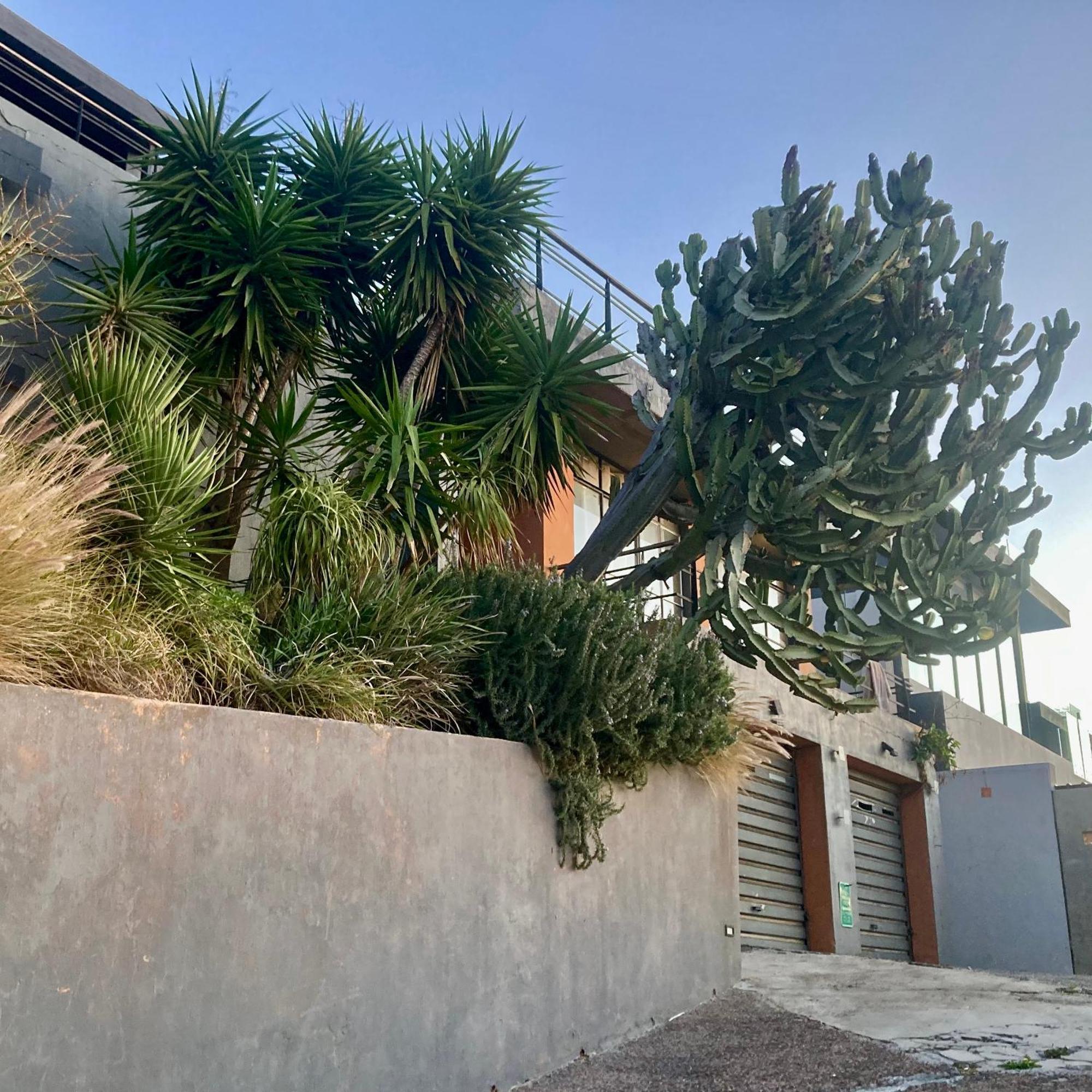 Le 12 Artist Loft On The Sea Penthouse * Cape Town